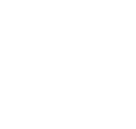 Icon 3
