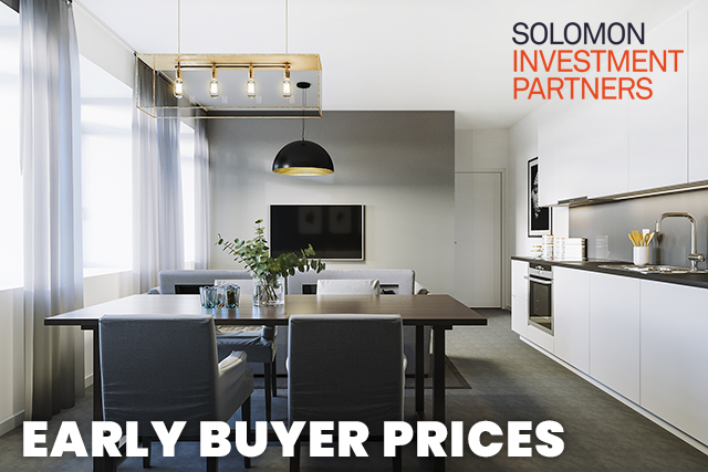 Solomon Investment Partners
