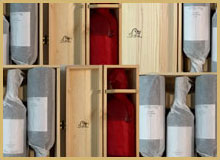 Montevino Partners