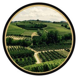 Exceptional Tax Free Returns From Fine Wine - Invest From Only £5,000